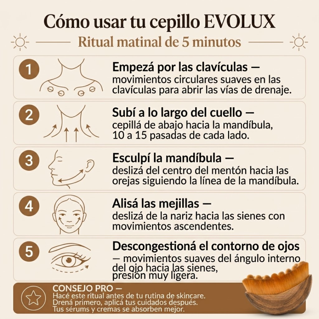 Cepillo Para Masajes de Drenaje Linfatico